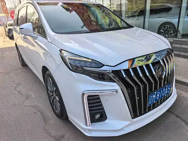Buick Buick Gl8 Buick Gl8 2020 Es Lu Zun 653t Flagship Model — фото
