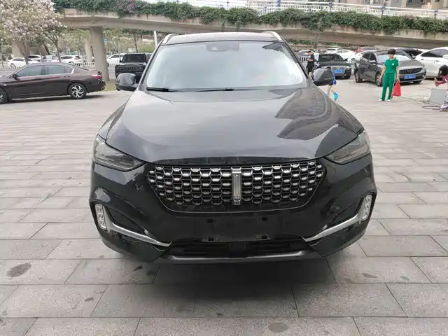 Wei Brand Wei Brand Vv6 Wei Brand Vv6 2020 2.0t Two-Wheel Drive Zhiyue+ — фото