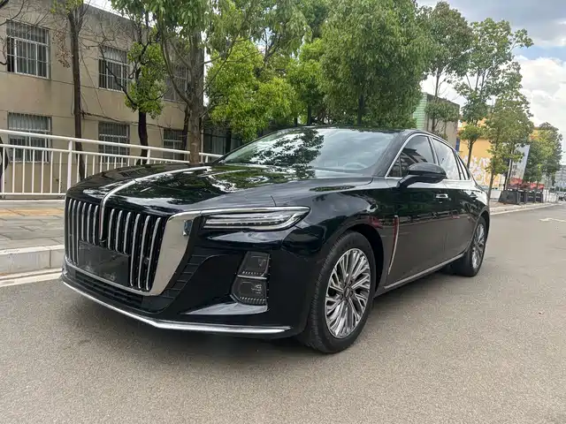 Red Flag Hongqi H5 Hongqi H5 2023 2.0t Automatic Zhilianqichang Edition — фото