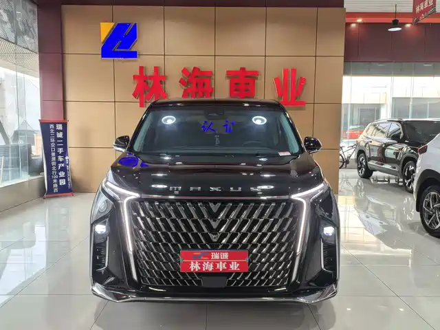 Saic Maxus Chase G90 Maxus G90 2022 2.0t Galaxy Seven-Seater Edition — фото