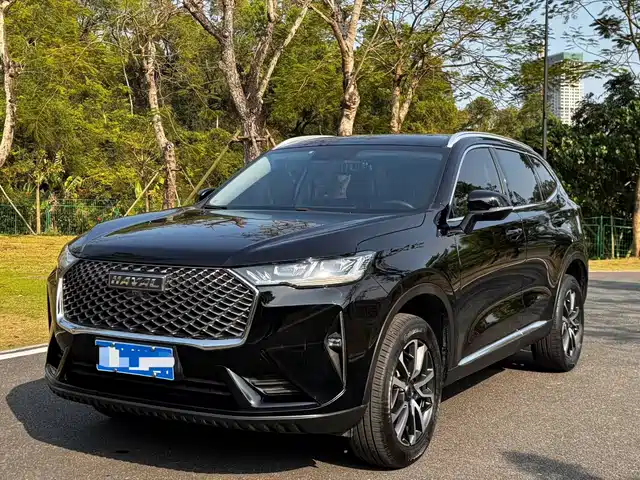 Harvard Haval H6 Haval H6 2021 Third Generation 1.5t Automatic Two-Wheel Drive Pro — фото