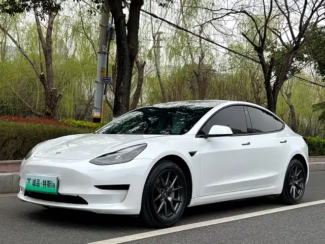 Tesla Model 3 Model 3 2022 Rear-Wheel Drive Version — фото