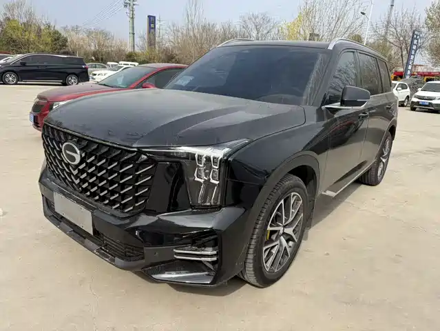 Gac Trumpchi Trumpchi Gs8 Trumpchi Gs8 2024 Pilot Series 2.0tgdi 2wd Luxury Connected Edition — фото