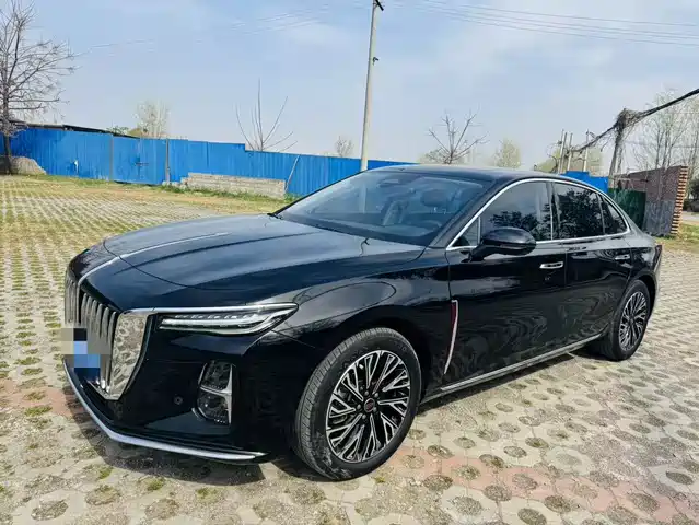 Red Flag Hongqi H5 Hongqi H5 2024 2.0t Automatic Zhilianqichang Edition — фото