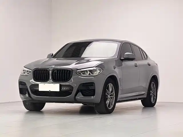 Bmw Bmw X4 Bmw X4 2020 Xdrive25i M Sports Package — фото