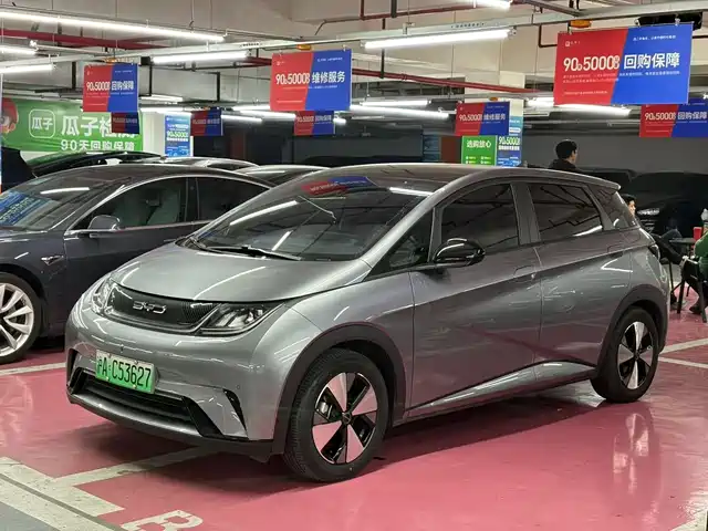 Byd Dolphin Dolphin 2023 420km Fashion Edition — фото