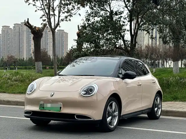 Euler Euler Good Cat Euler Good Cat 2022 Model 400km Standard Battery Life Premium Type Lithium Iron Phosphate — фото