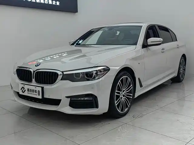 Bmw Bmw 5 Series Bmw 5 Series 2019 530li Leading M Sports Package — фото
