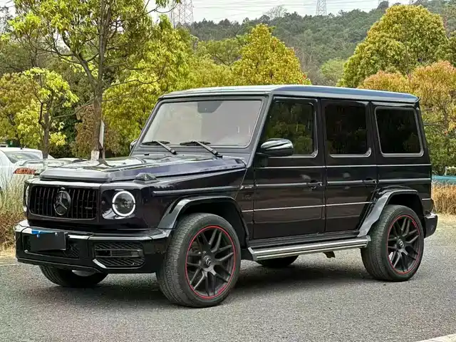 Mercedes-Benz Mercedes Benz G Class Mercedes-Benz G-Class 2017 G 500 — фото
