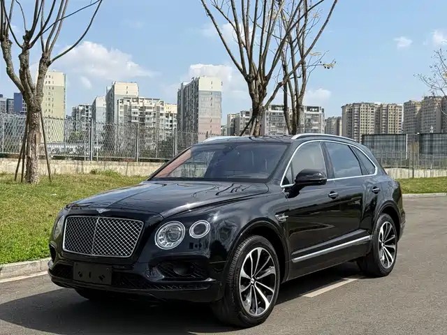 Bentley Bentayga Bentayga 2016 6.0t Standard Edition — фото
