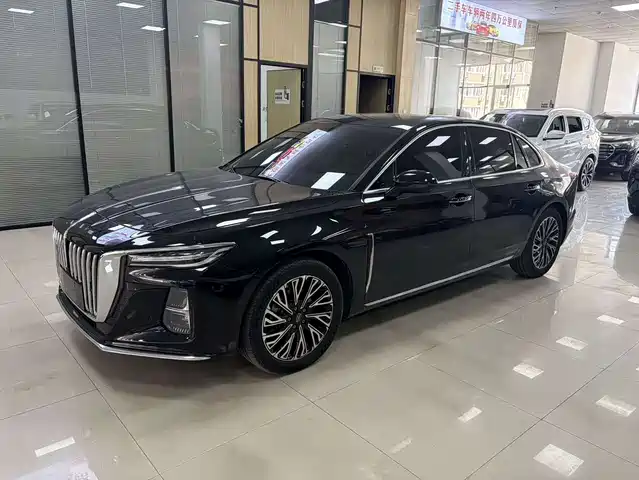 Red Flag Hongqi H5 Hongqi H5 2023 2.0t Automatic Zhilianqichang Edition — фото