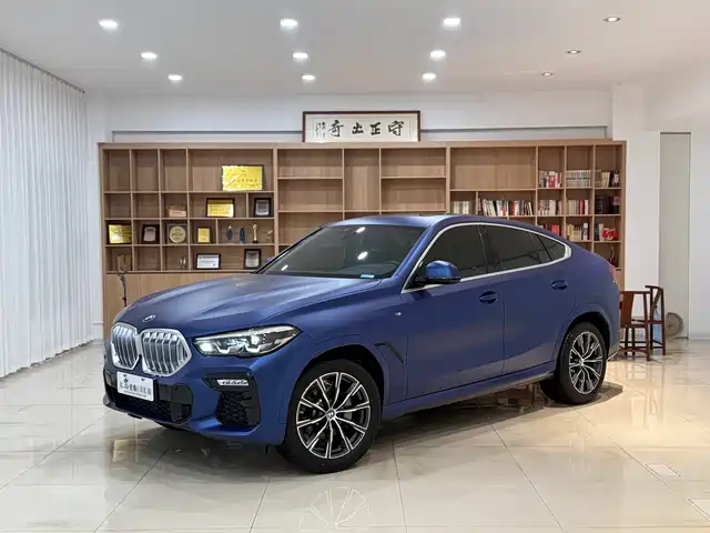 Bmw Bmw X6 Bmw X6 2020 Xdrive30i M Sports Package — фото