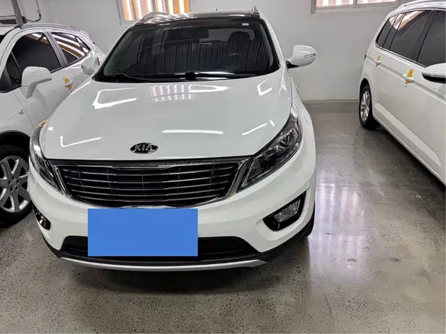 Kia Smart Running Zhipao 2016 2.0l Automatic Two-Wheel Drive Version Dlx — фото