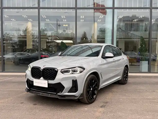 Bmw Bmw X4 Bmw X4 2022 Xdrive 30i M Sports Night Package — фото