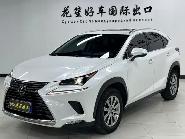 Lexus Lexus Nx Lexus Nx 2020 200 Awd Feng Shang Edition National V — фото