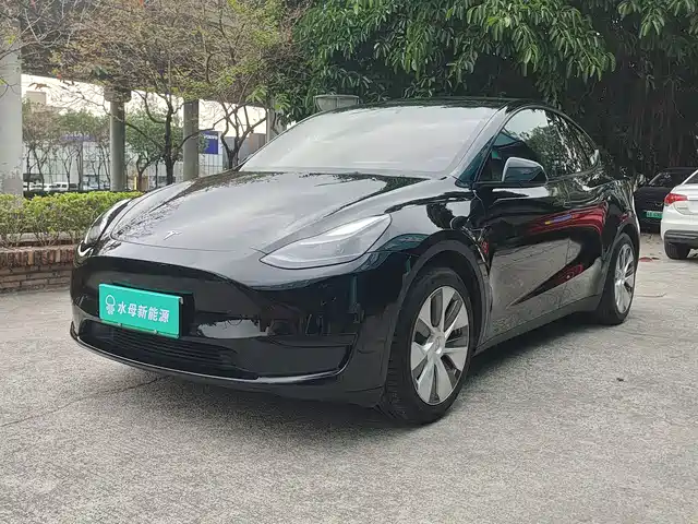 Tesla Model Y Model Y 2022 Rear-Wheel Drive Version — фото