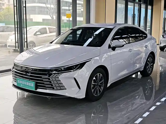 Byd Destroyer 05 Destroyer 05 2024 Honor Edition Dm-I 55km Luxury Type — фото