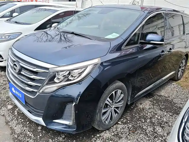 Gac Trumpchi Trumpchi M8 Trumpchi M8 2020 Pilot Model 390t Premium Edition — фото