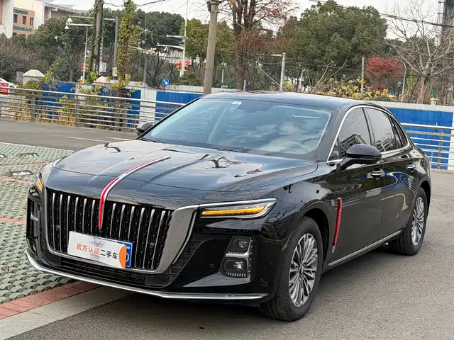 Red Flag Hongqi H5 Hongqi H5 2025 1.5t Dct Qiyue Edition — фото