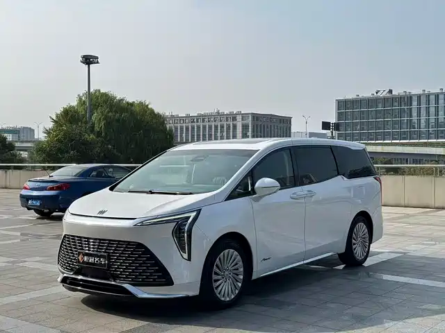 Buick Century Century 2023 2.0t Four-Seater Private Version — фото