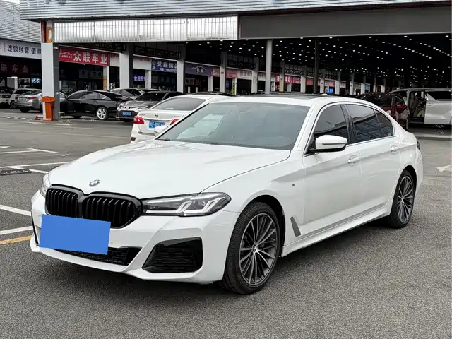 Bmw Bmw 5 Series Bmw 5 Series 2020 530li Leading Luxury Package — фото