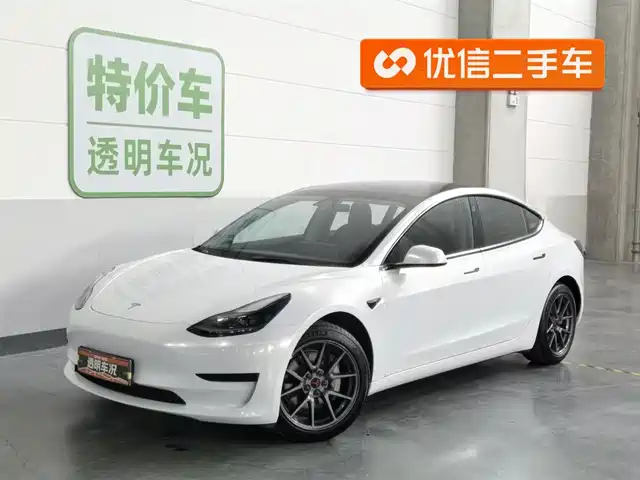 Tesla Model 3 Model 3 2022 Rear-Wheel Drive Version — фото