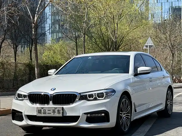 Bmw Bmw 5 Series Bmw 5 Series 2018 Facelift 530li Xdrive M Sports Package — фото