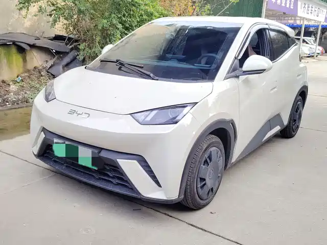 Byd Seagull Seagull 2024 Honor Edition 305km Vitality Edition — фото