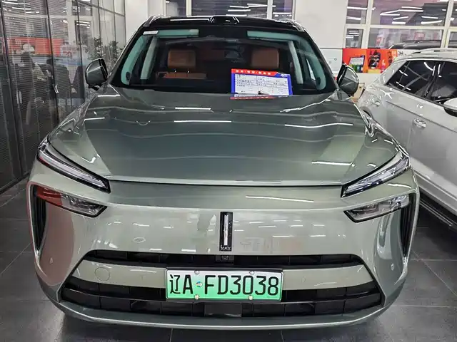 Wei Brand Wei brand blue mountain Wei Brand Lanshan 2025 Four-Wheel Drive Max — фото
