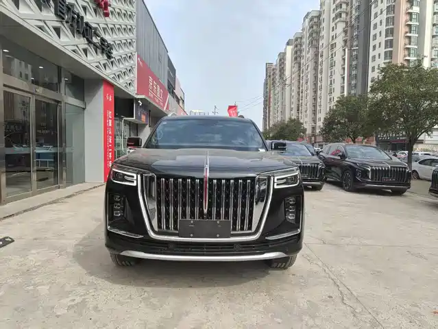 Red Flag Red Flag National Glory Hongqi Guoyao 2022 4.0t Elegant Flagship Edition 6 Seats — фото