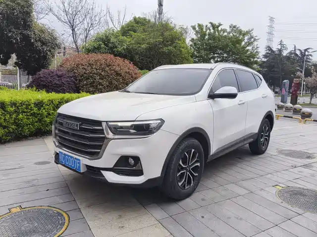 Harvard Haval H6 Haval H6 2021 National Fashion Edition 1.5t Automatic Champion Edition — фото