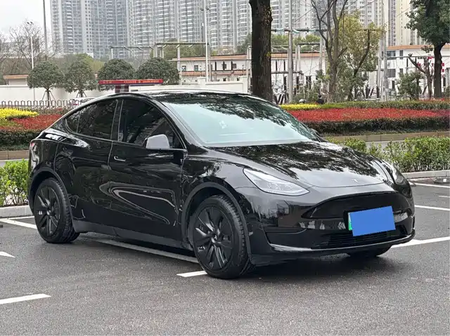 Tesla Model Y Model Y 2022 Facelift Rear-Wheel Drive Version — фото