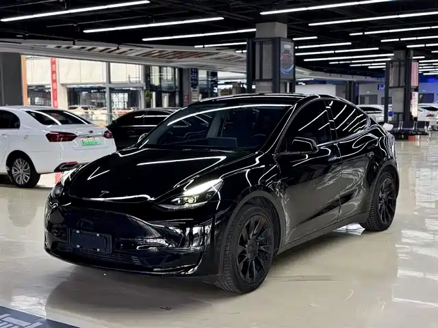 Tesla Model Y Model Y 2021 Long-Range All-Wheel Drive Version — фото