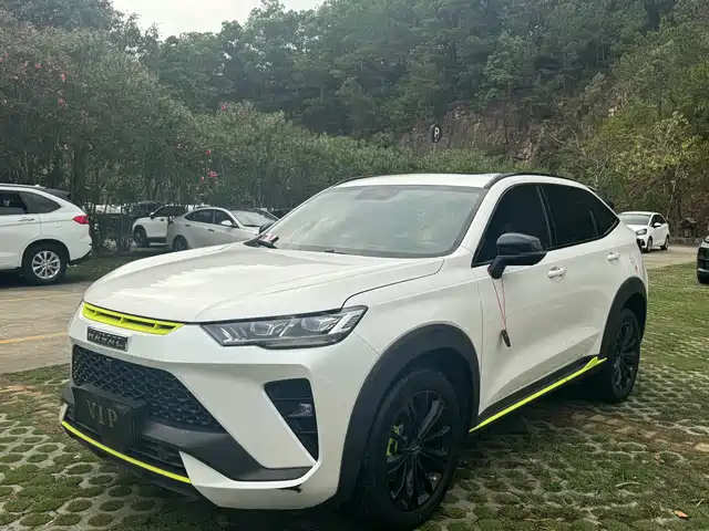Harvard Haval H6s Haval H6s 2022 2.0t Two-Wheel Drive Yuepao Version — фото