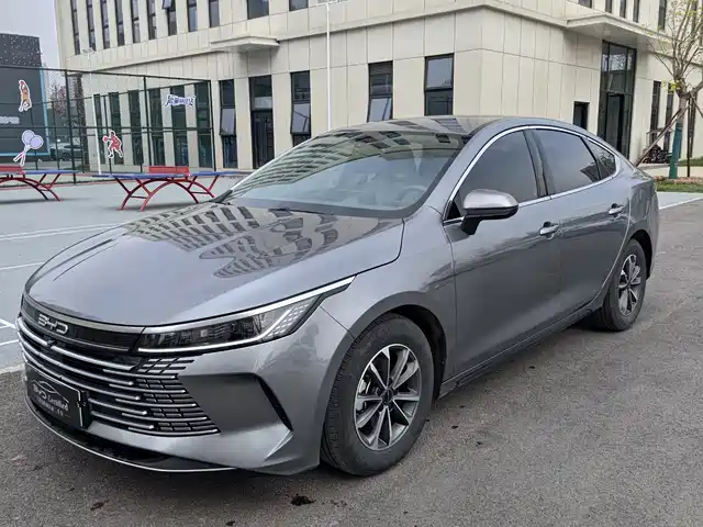 Byd Destroyer 05 Destroyer 05 2024 Honor Edition Dm-I 55km Luxury Type — фото