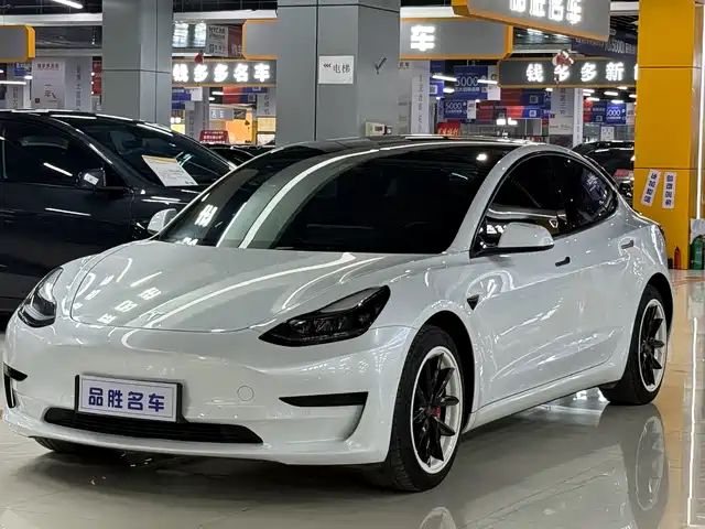 Tesla Model 3 Model 3 2022 Rear-Wheel Drive Version — фото