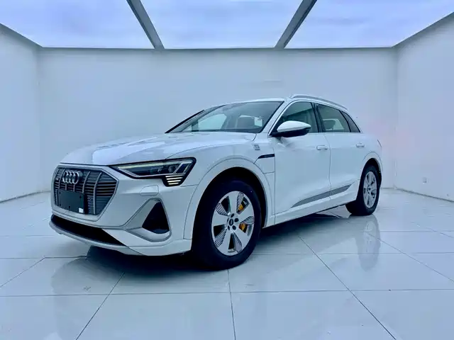 Audi Audi E-Tron Audi E-Tron 2021 50 Quattro Luxury Model — фото