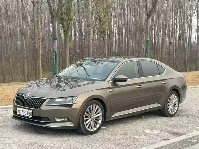 Škoda Speedy 2018 г. — фото