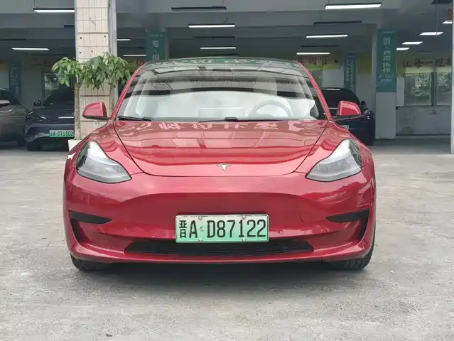 Tesla Model 3 Model 3 2021 Facelift Standard Range Rear Drive Upgraded Version 3d1 — фото