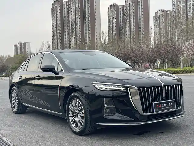 Red Flag Hongqi H5 Hongqi H5 2024 1.5t Dct Zhilian Qiyun Edition — фото