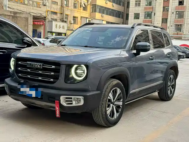 Harvard Harvard Dog Haval Big Dog 2022 1.5t Dct Two-Wheel Drive Border Collie Version — фото