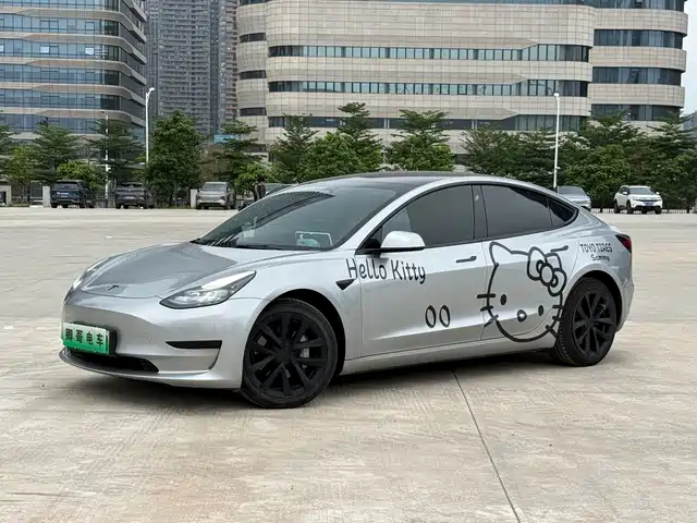 Tesla Model 3 Model 3 2022 Rear-Wheel Drive Version — фото