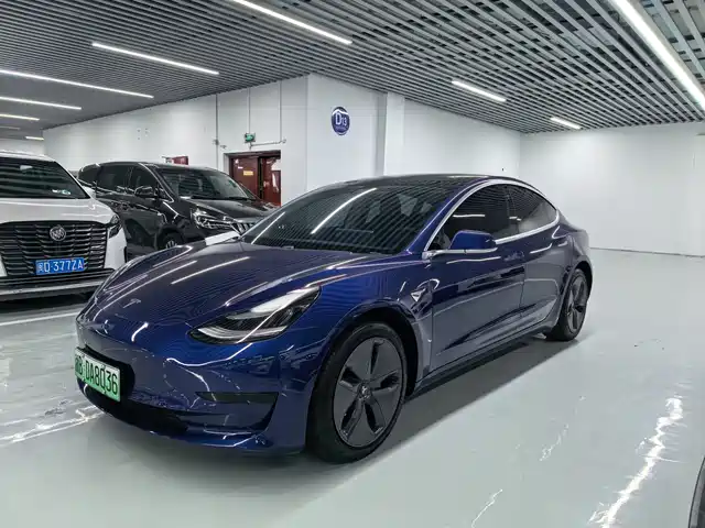 Tesla Model 3 Model 3 2020 Standard Range Rear Drive Upgraded Version — фото