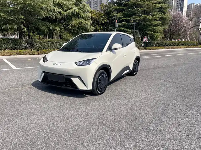 Byd Seagull Seagull 2024 Honor Edition 305km Vitality Edition — фото
