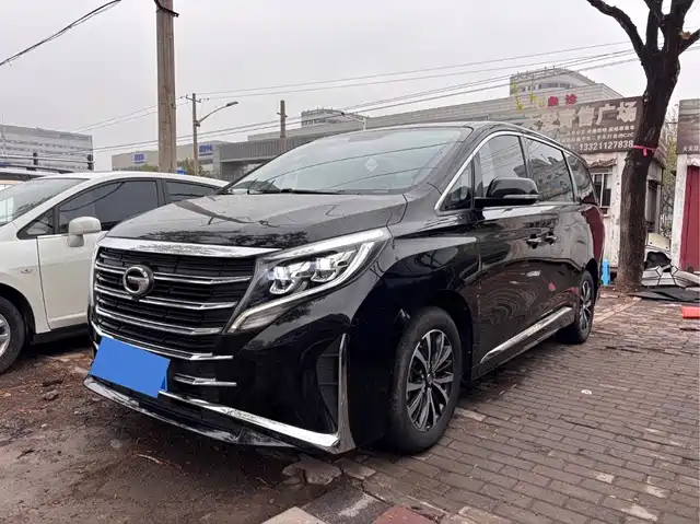 Gac Trumpchi Trumpchi M8 Trumpchi M8 2023 Lead Show Series 390t Exclusive Edition — фото