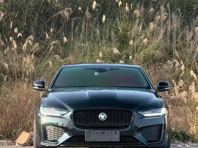 Jaguar Jaguar Xfl Jaguar Xfl 2024 2.0t P250 Two-Wheel Drive Exclusive Luxury Version — фото