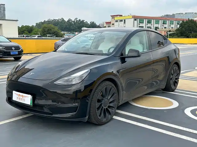 Tesla Model Y Model Y 2021 Performance High-Performance All-Wheel Drive Version — фото