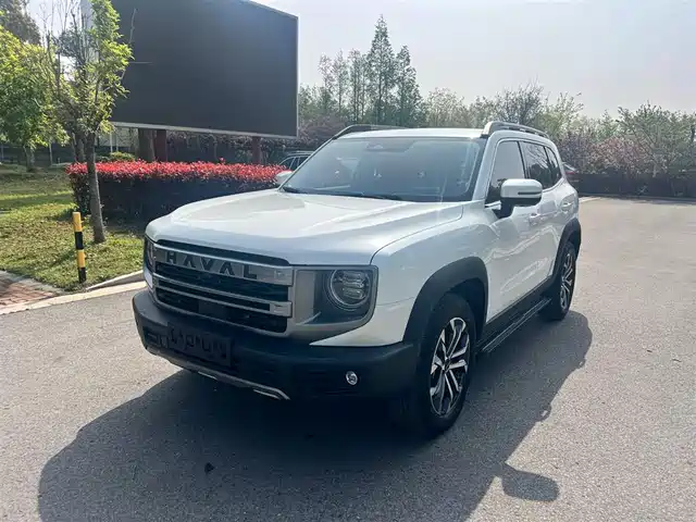 Harvard Harvard Dog Haval Big Dog 2024 1.5t Dct Border Collie Edition — фото