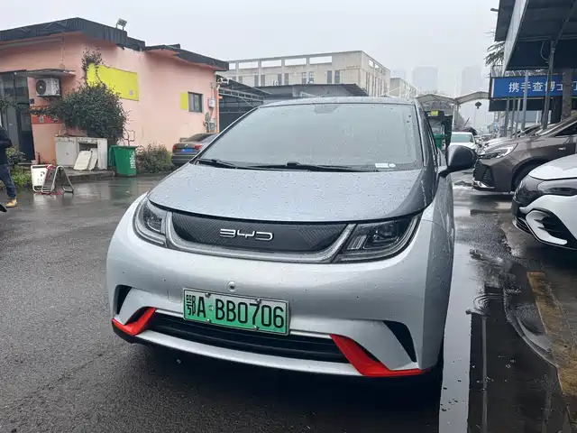 Byd Dolphin Dolphin 2021 405km Fashion Version — фото