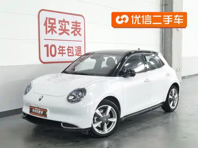 Euler Euler Good Cat Euler Good Cat 2022 Model 400km Standard Battery Life Premium Type Ternary Lithium — фото